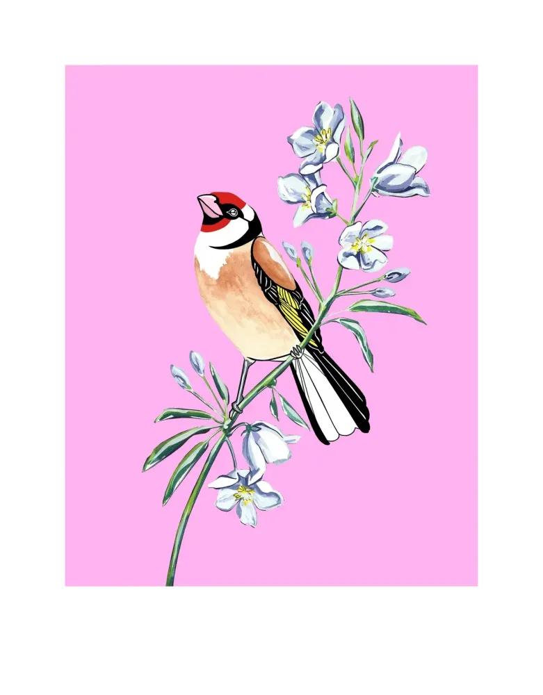 Artwork - Goldfinch and Bellflower