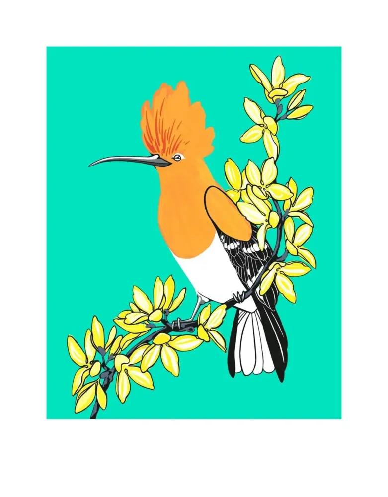 Artwork - Hoopoe and Forsythia