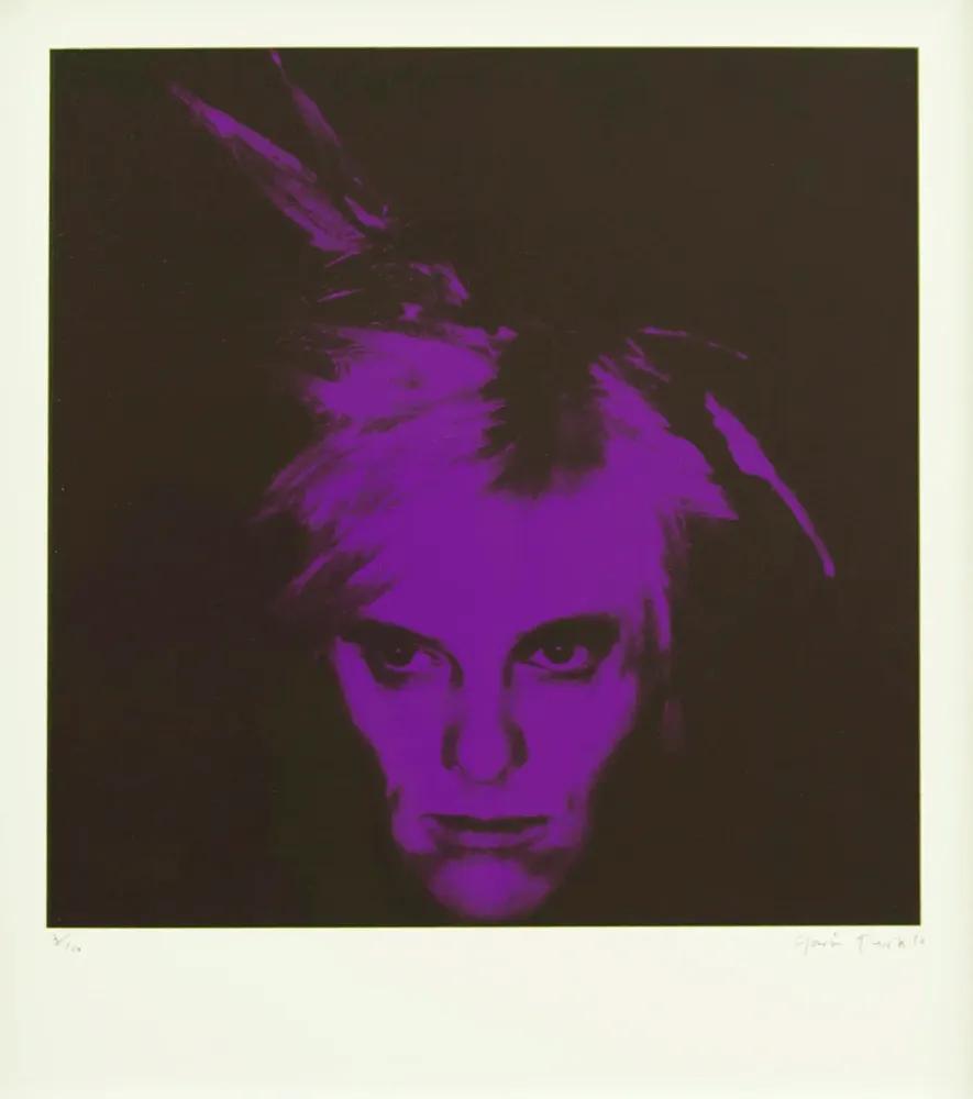 Artwork - Fright Wig (Purple)