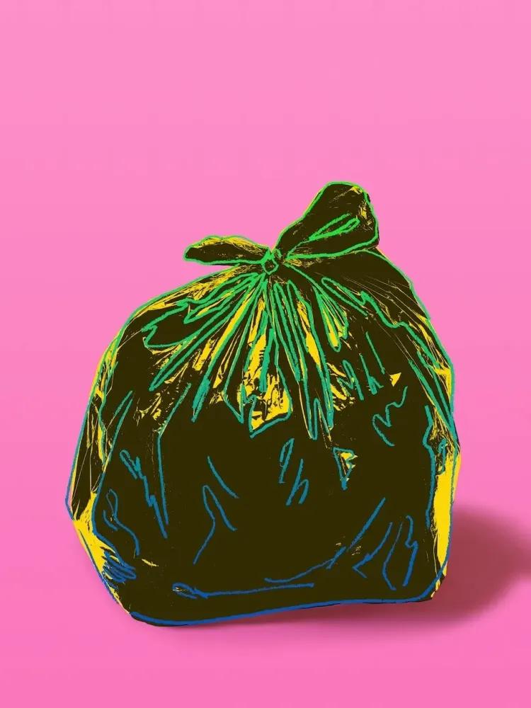Artwork - Pink Trash