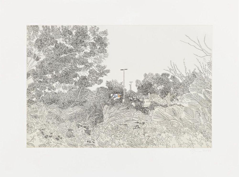 Artwork - Scottsdale