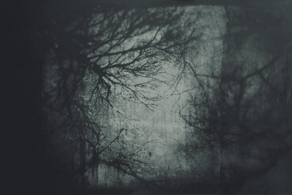 Artwork - Aqua Oscura' Winter