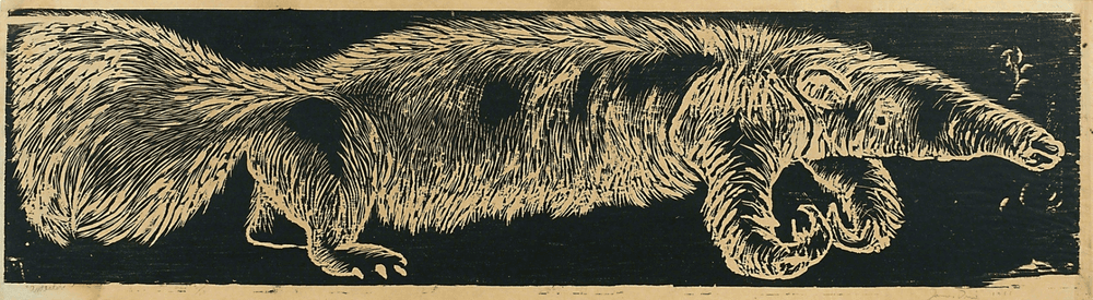 Artwork - Anteater
