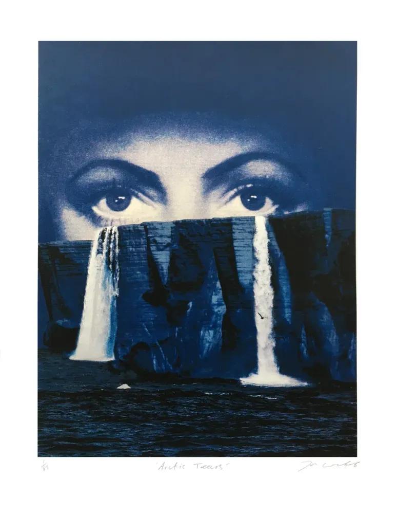 Artwork - Arctic Tears