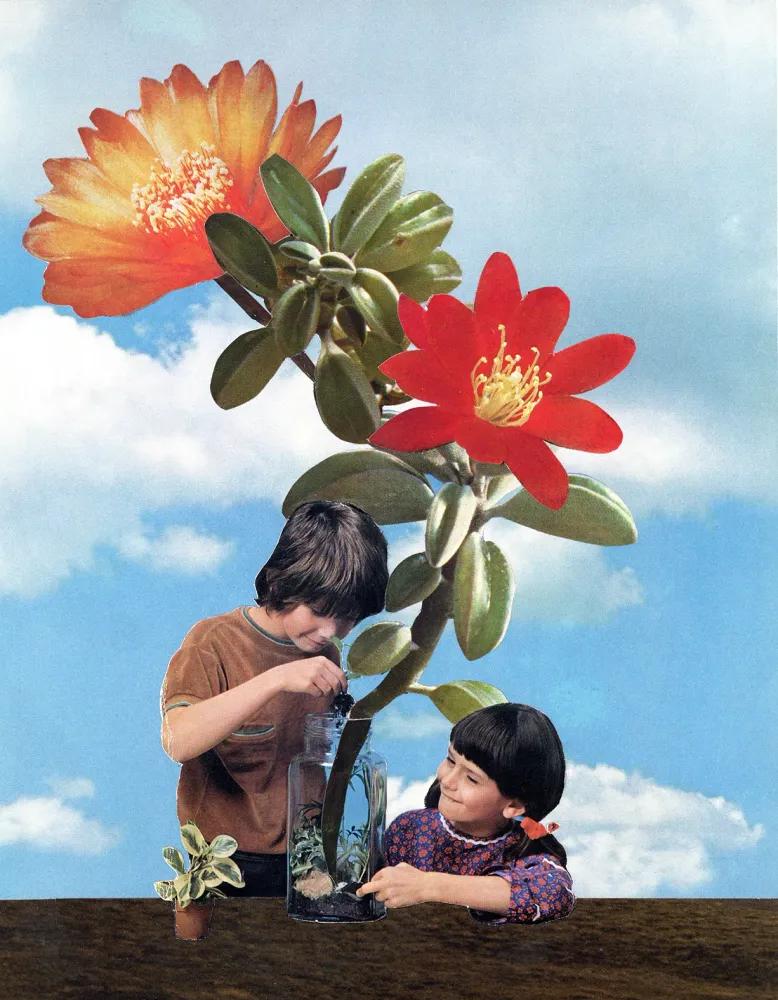 Artwork - Growing Things