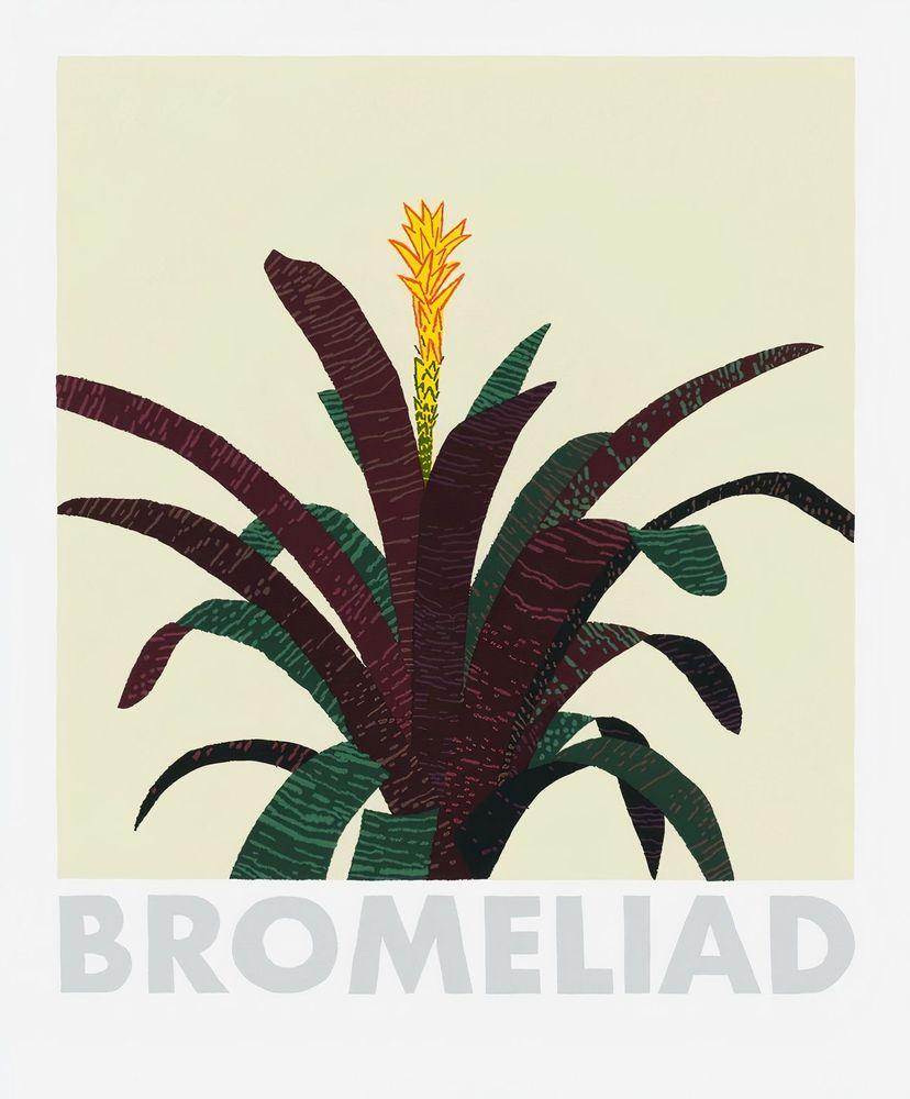 Artwork - Bromeliad