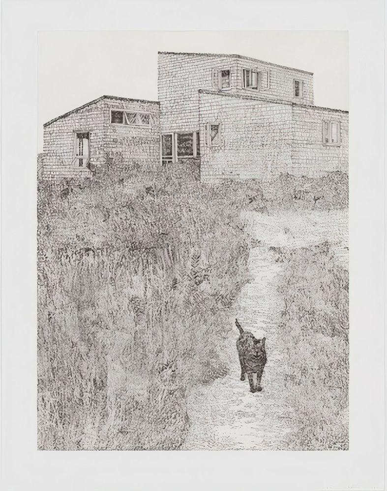 Artwork - C.M.Z. House on M.V. with Ptolemy