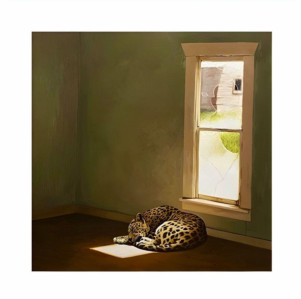 Artwork - Sunspot (Timed Edition)