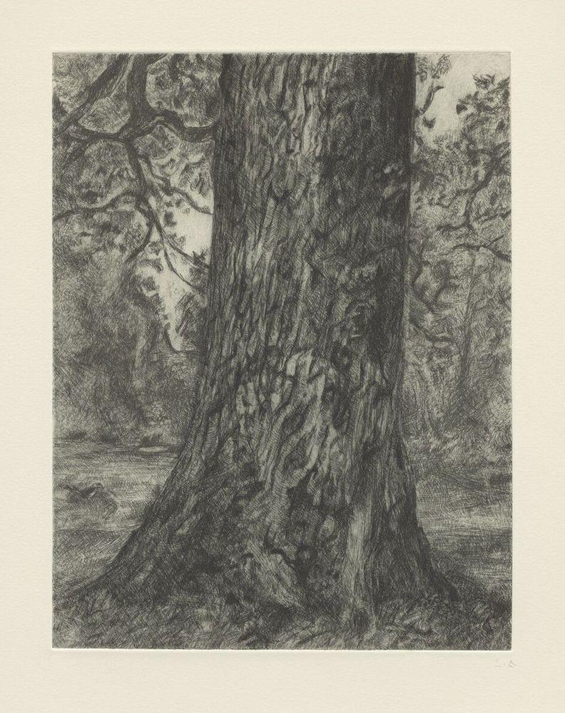 Artwork - After Constable's "Elm"
