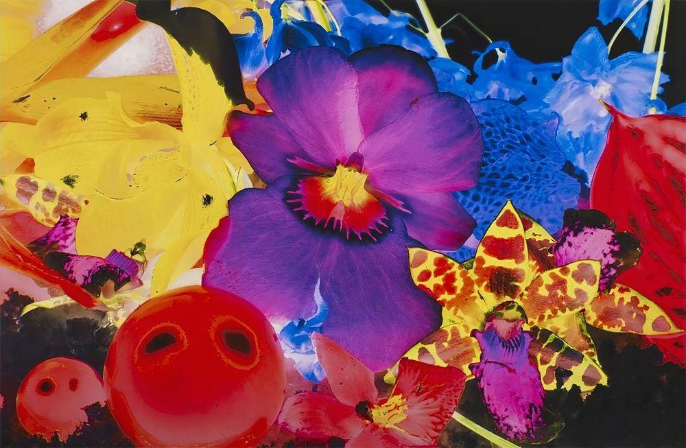 Artwork - Lavinia Plantia