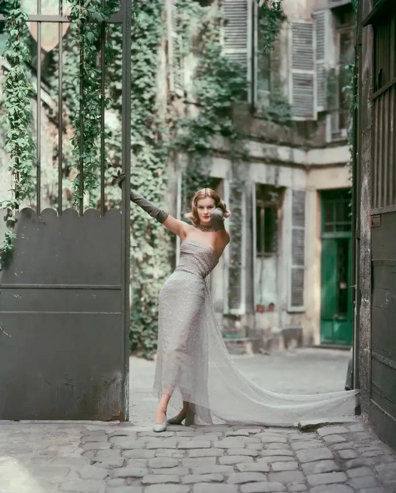 Artwork - Dior Gray Chiffon in Courtyard (Medium)