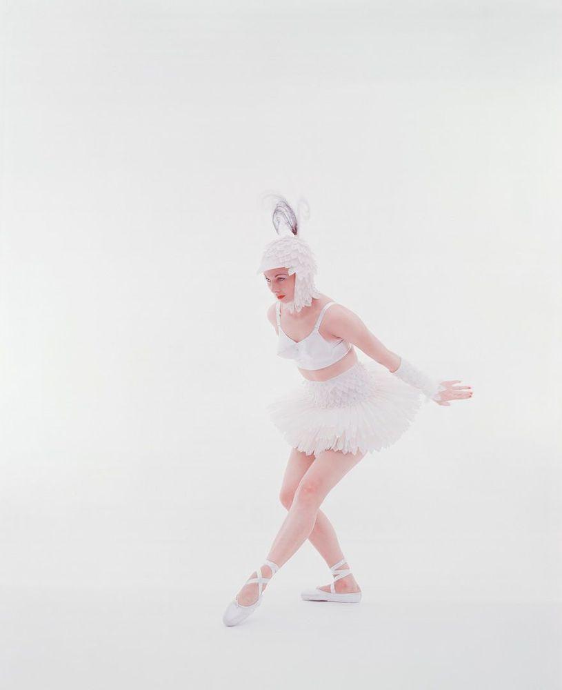 Artwork - Lingerie - Chicken Ballerina My Maidenform