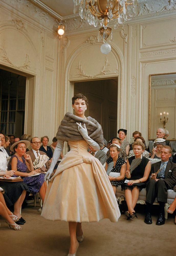 Artwork - Salon Dior Cream Velvet Fur Stole, 1954