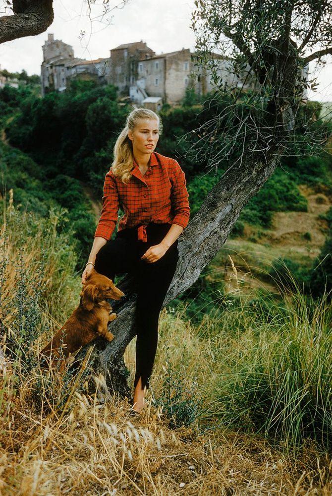 Artwork - San Vittorino Socialite With Dachshund