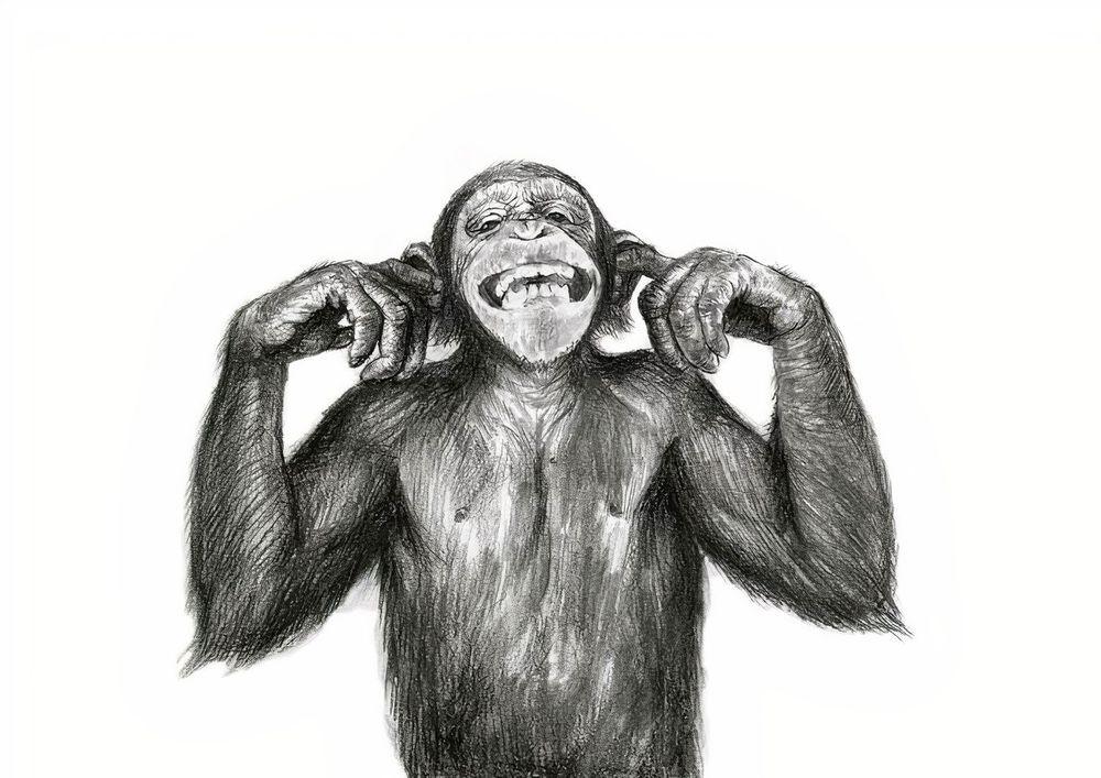 Artwork - Forgotten Monkey 13