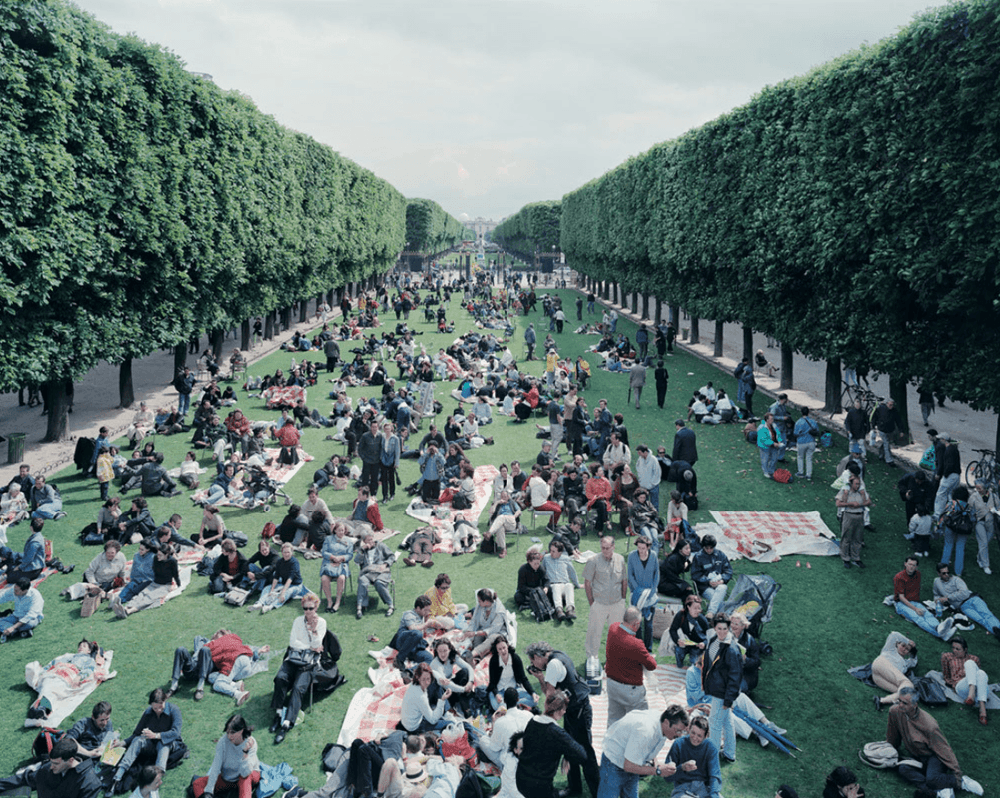 Artwork - Picnic Allee