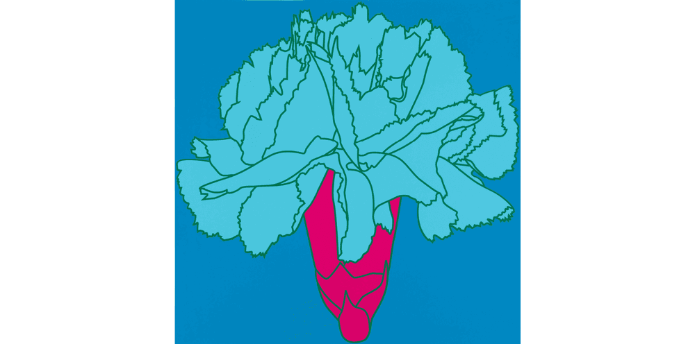 Artwork - Flowers - Carnation