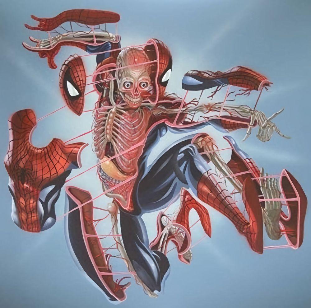 Artwork - Dissection Of Spiderman (First Edition)