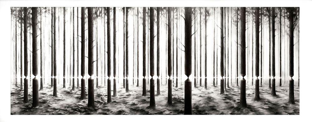 Artwork - Linea