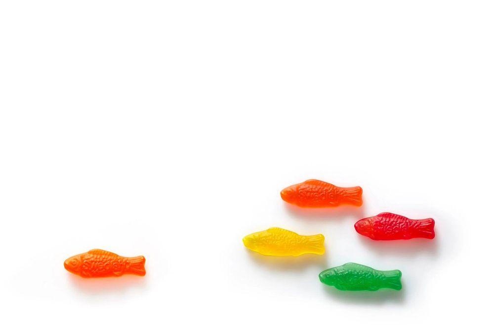 Artwork - Swedish Fish School
