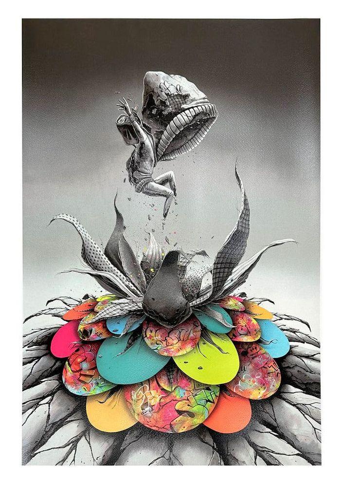 Artwork - Bloom Bloom