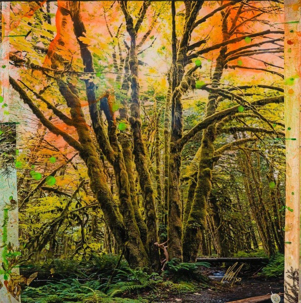 Artwork - Mossy Abandon (Unique One)