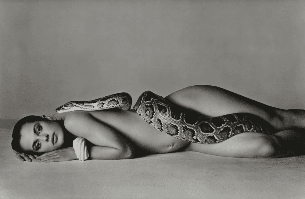 Artwork - Nastassja Kinski and the Serpent