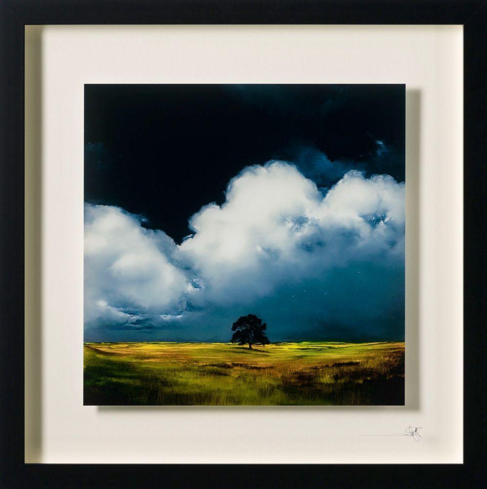 Artwork - Finding Home