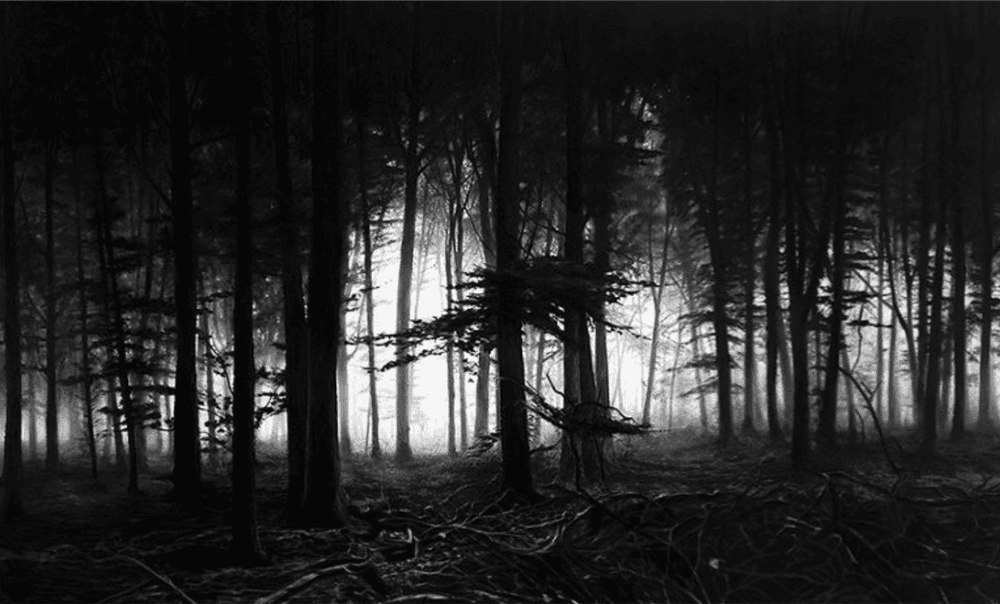 Artwork - Forest of Doxa