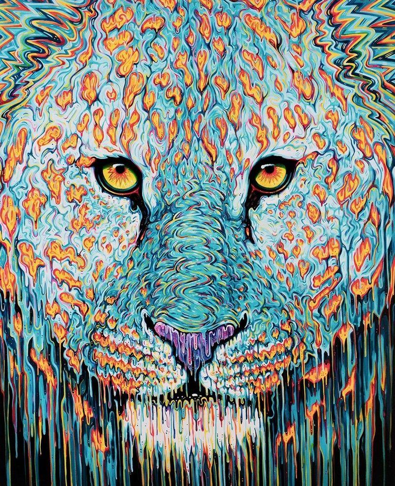 Artwork - Spirit