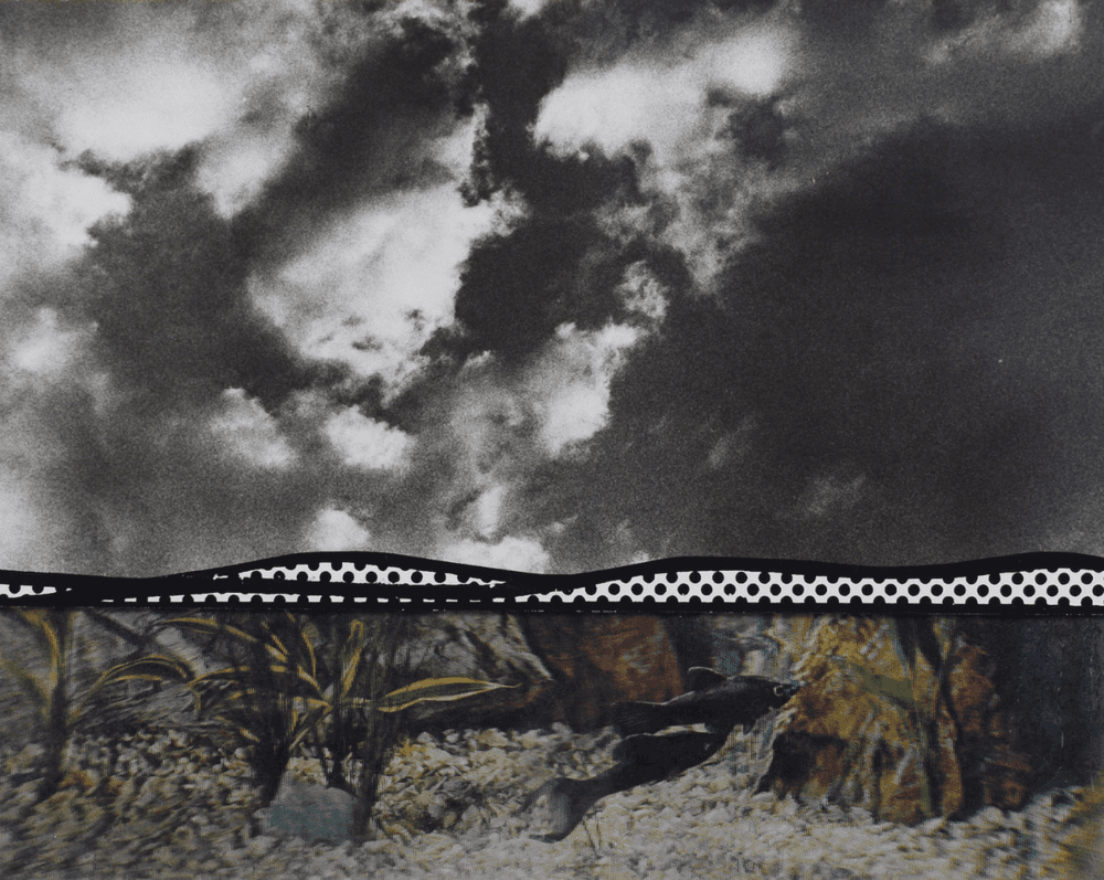 Artwork - Fish and Sky