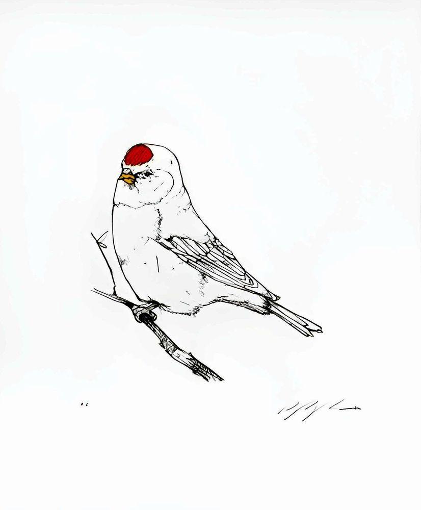 Artwork - Perturbed Bird