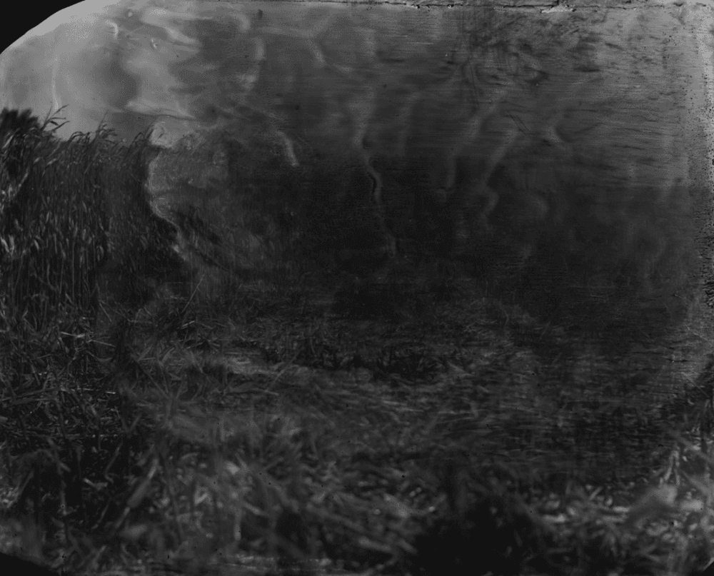 Artwork - Battlefields, Antietam  #18 (Cornfield)
