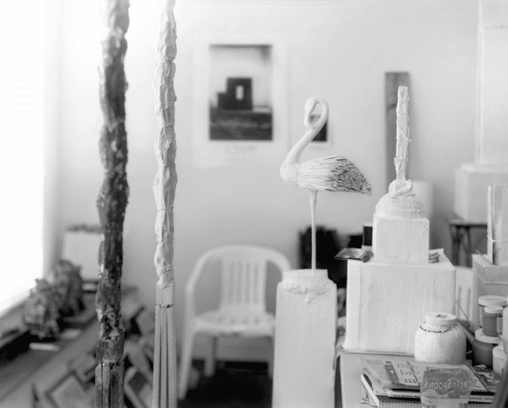 Artwork - Remembered Light, Untitled (Flamingo Profile)