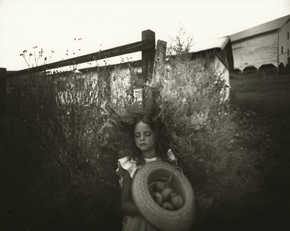 Artwork - Yard Eggs