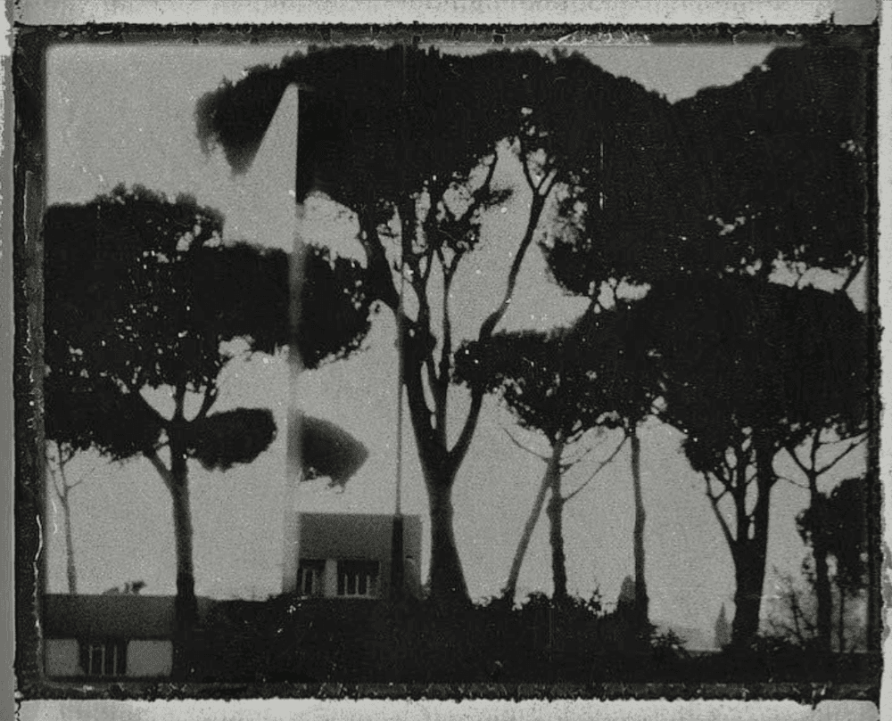 Artwork - Cinecitta