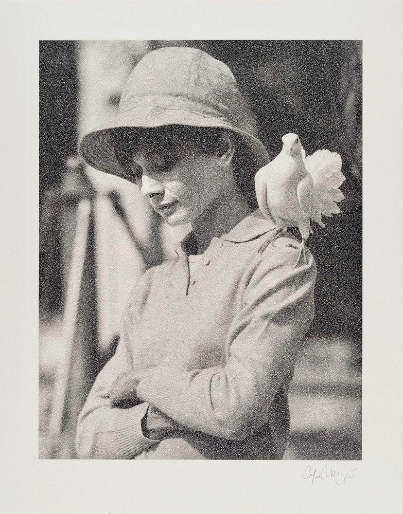 Artwork - Hepburn with Dove - Silkscreen on paper