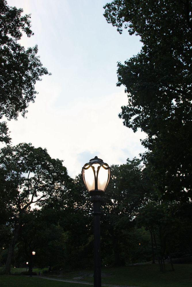Artwork - Light Symphony