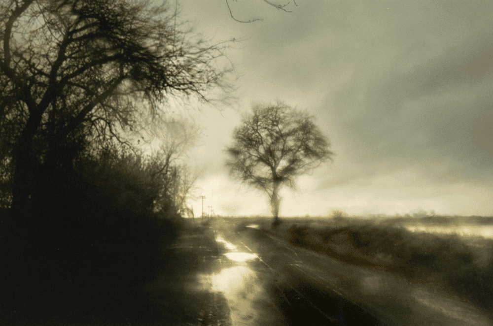 Artwork - 12159-0146