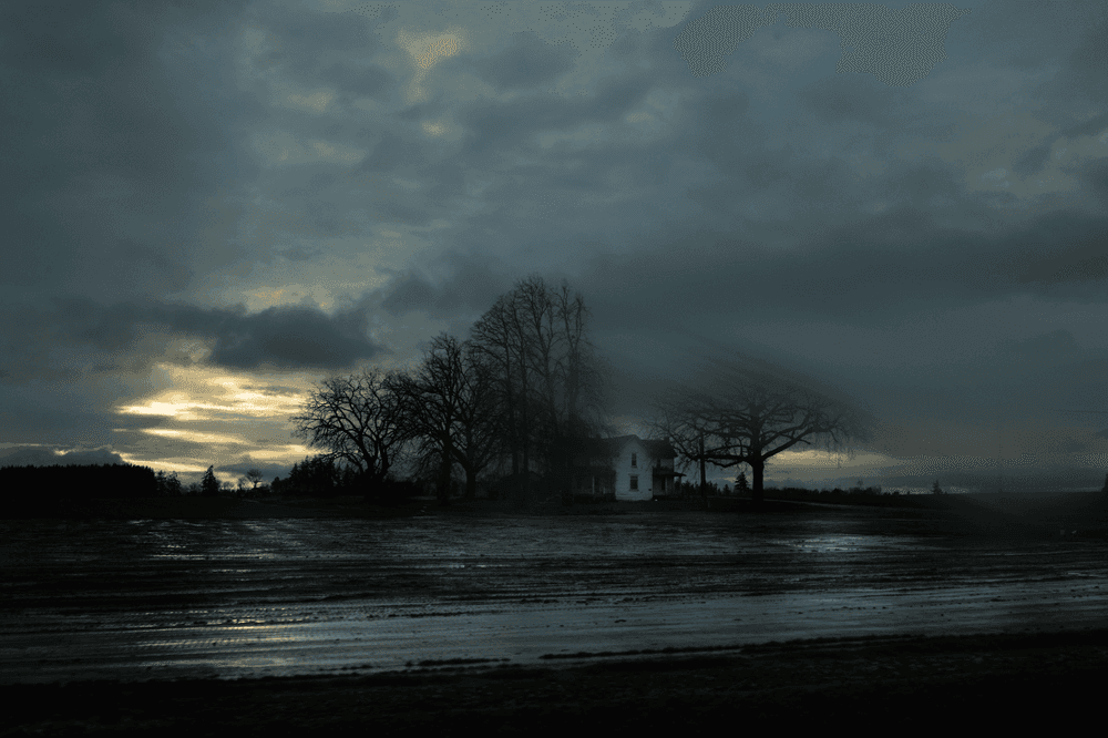 Artwork - 12170-1427