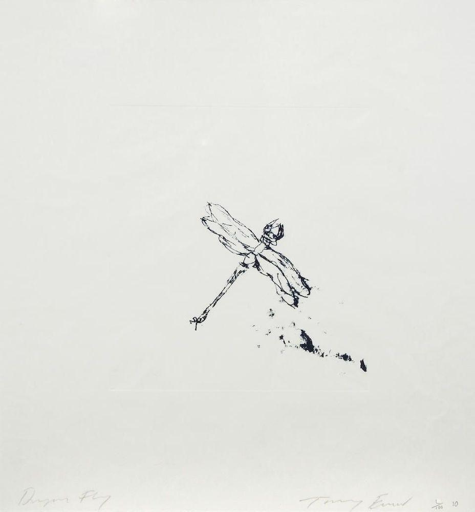 Artwork - Dragon Fly
