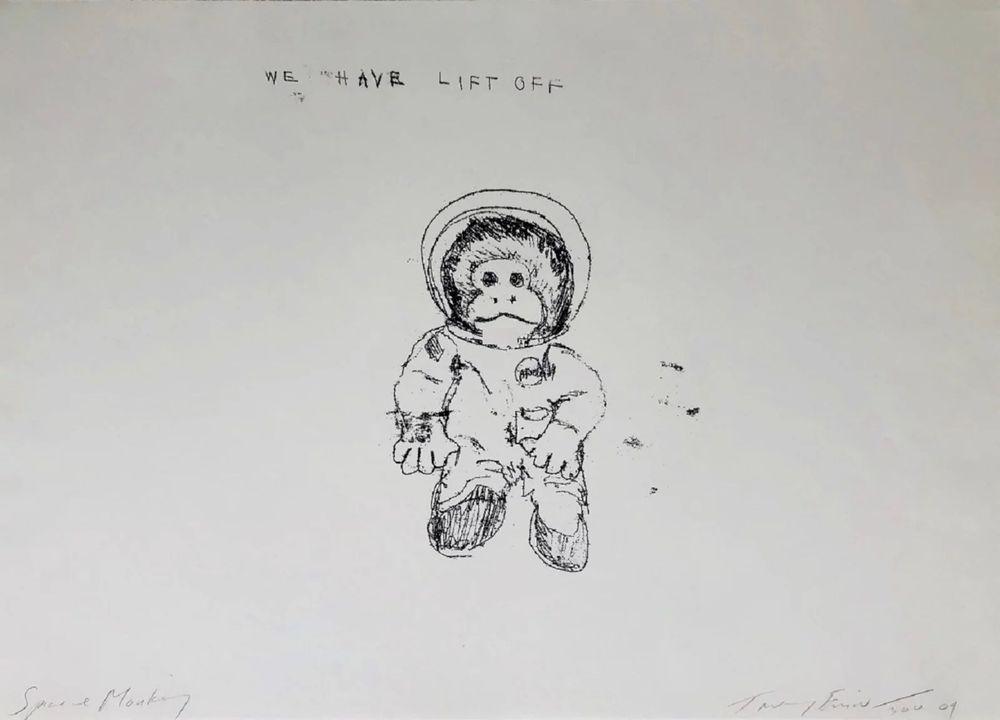 Artwork - Space Monkey (We Have Lift Off)