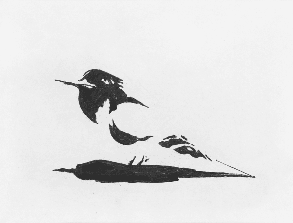 Artwork - Dark Bird