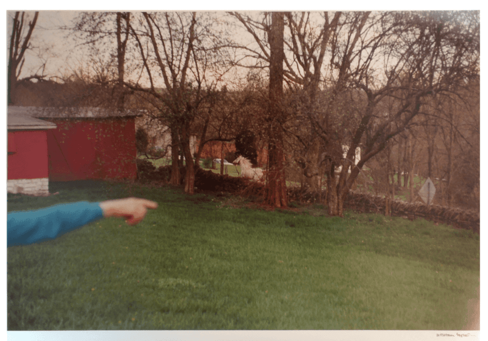 Artwork - Kentucky