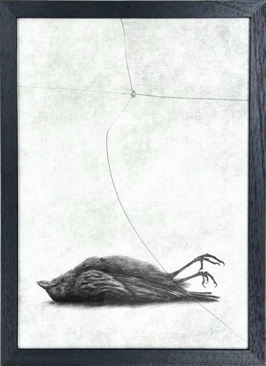 The Window