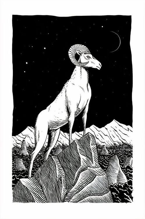 Aries