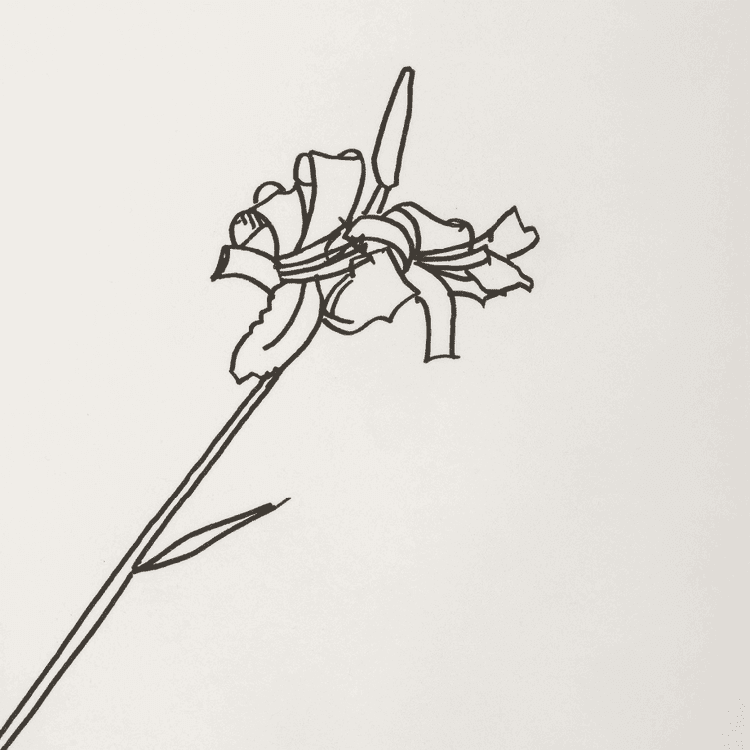 Edges (Sheet 4)