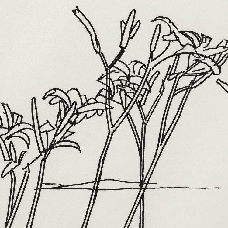 Edges (Sheet 5)