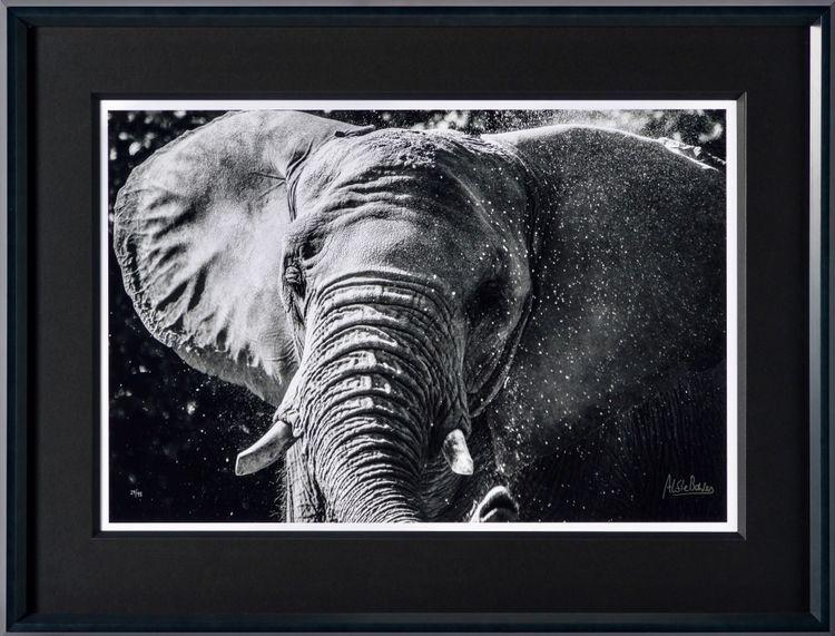 Tusker
