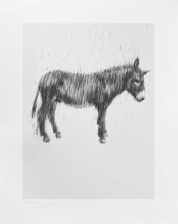 Last Donkey